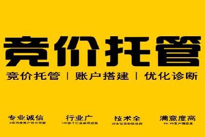 百度推广的投放策略与效果分析